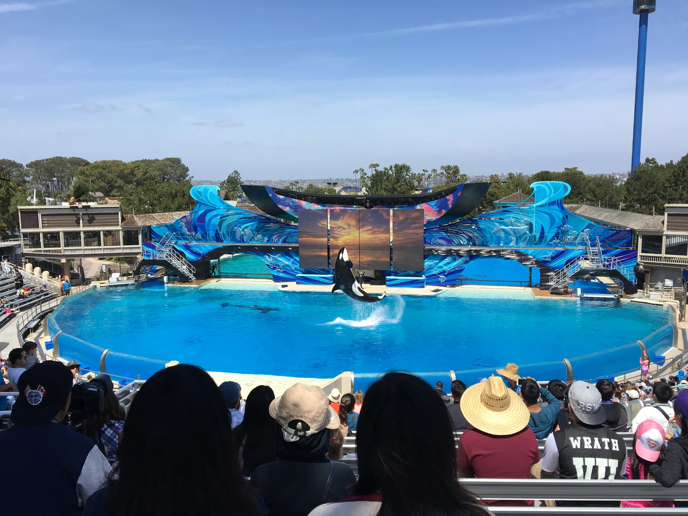 圣地亚哥海洋世界虎鲸表演场