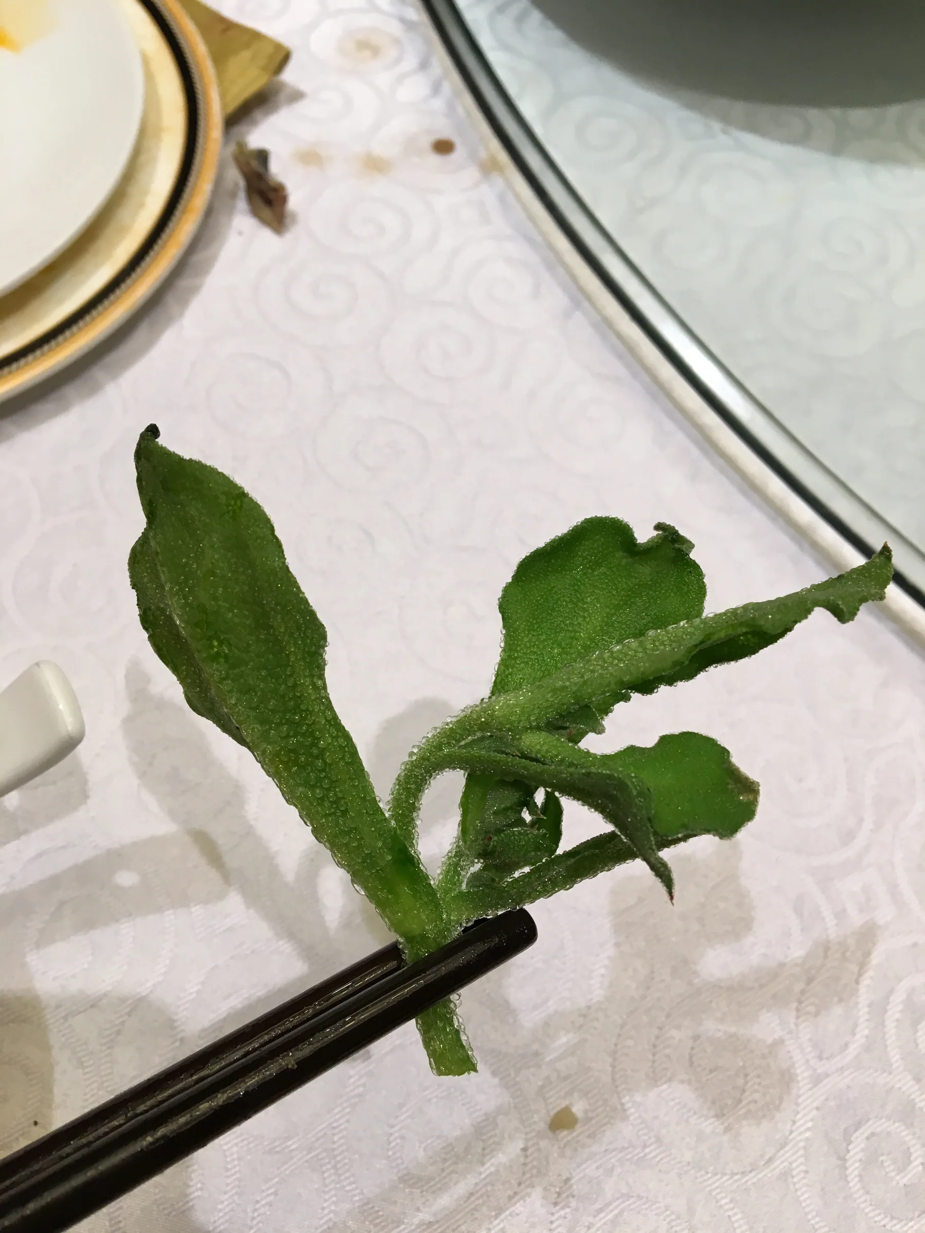 餐厅里的冰菜