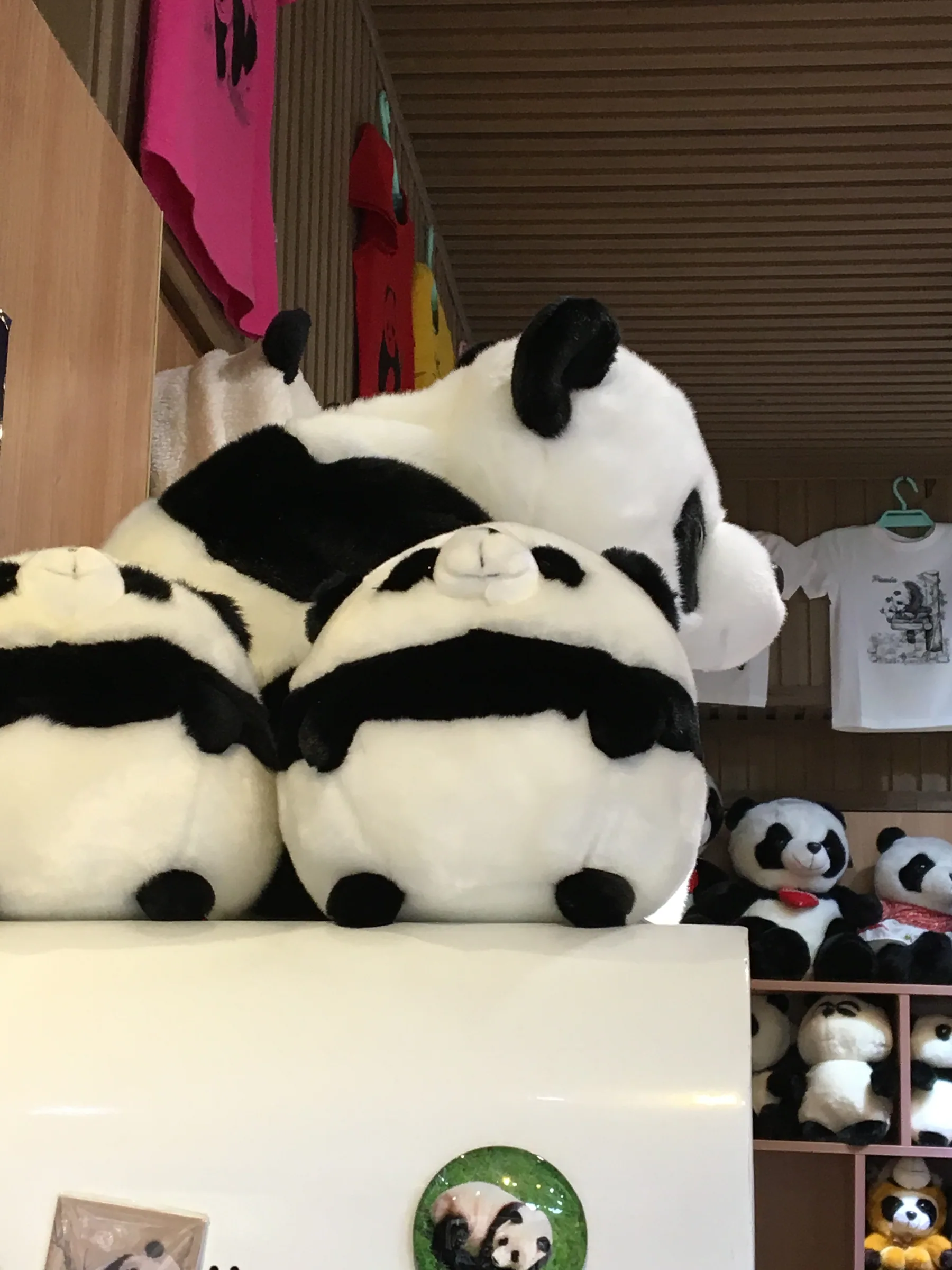 商店里堆放的熊猫毛绒玩具