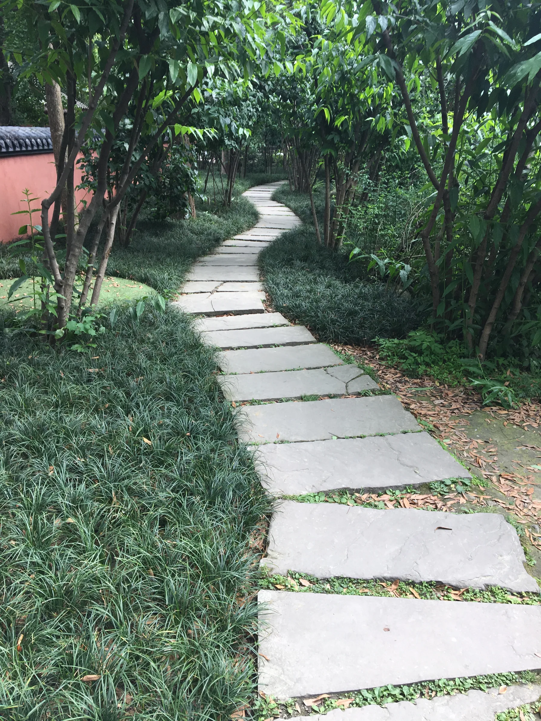 杜甫草堂幽静的林间小径