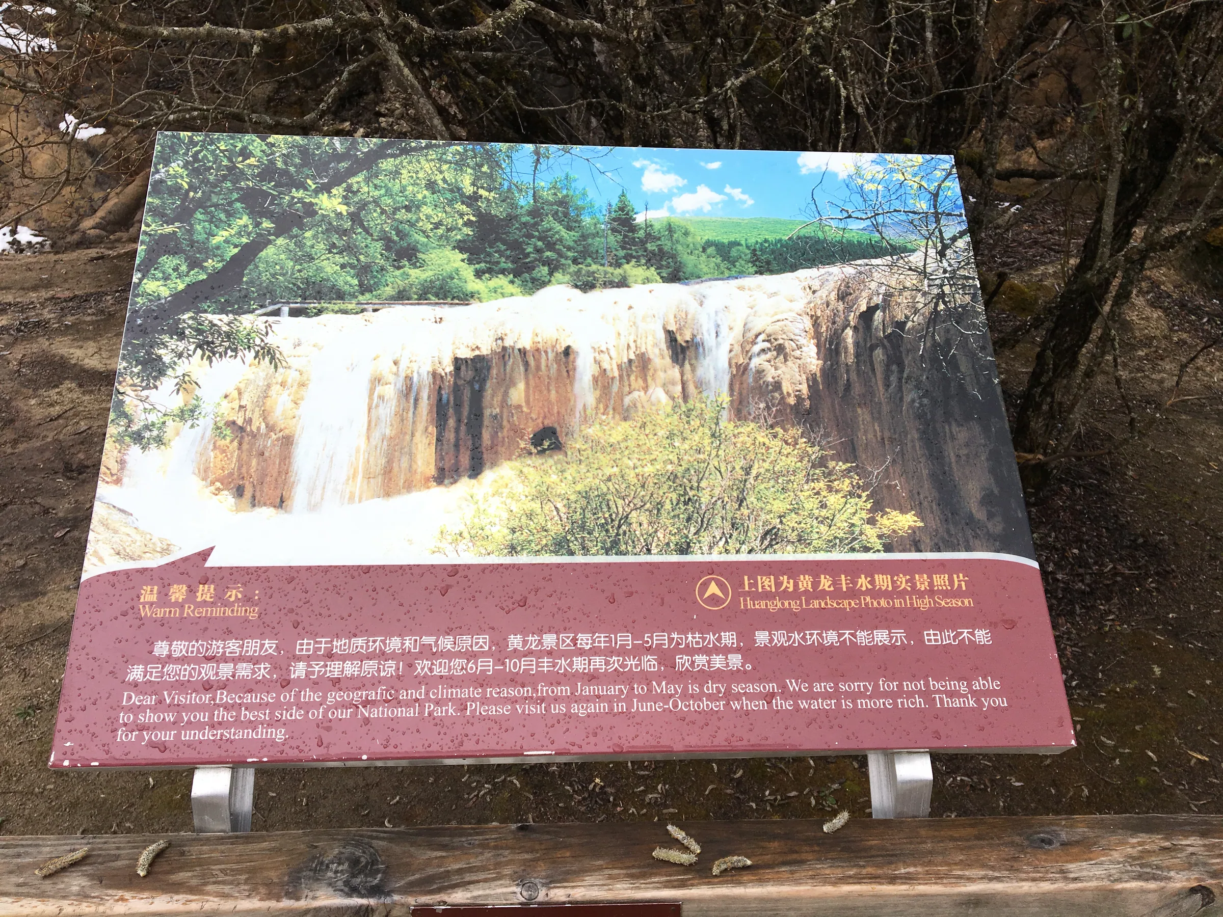 黄龙景区展示的水量充足时景观照片