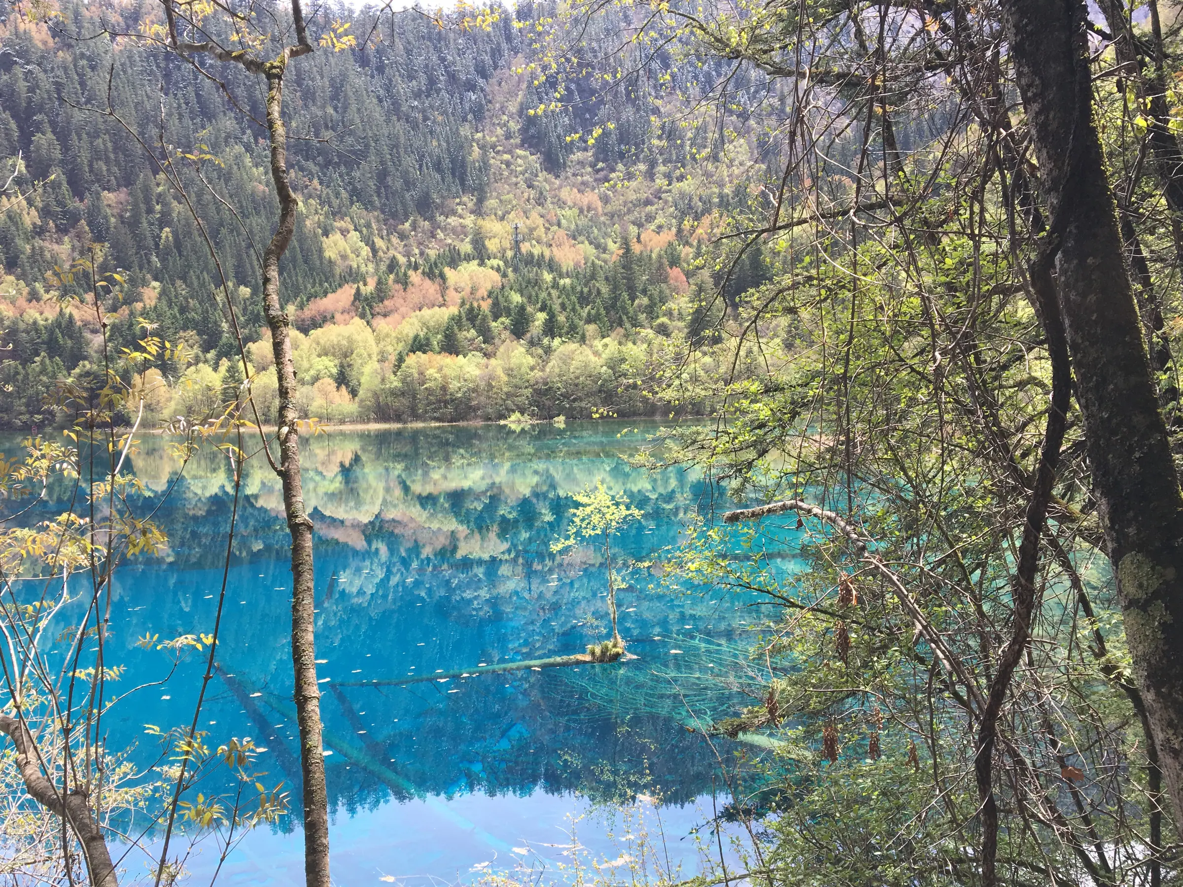 九寨沟山林环绕的碧蓝湖泊