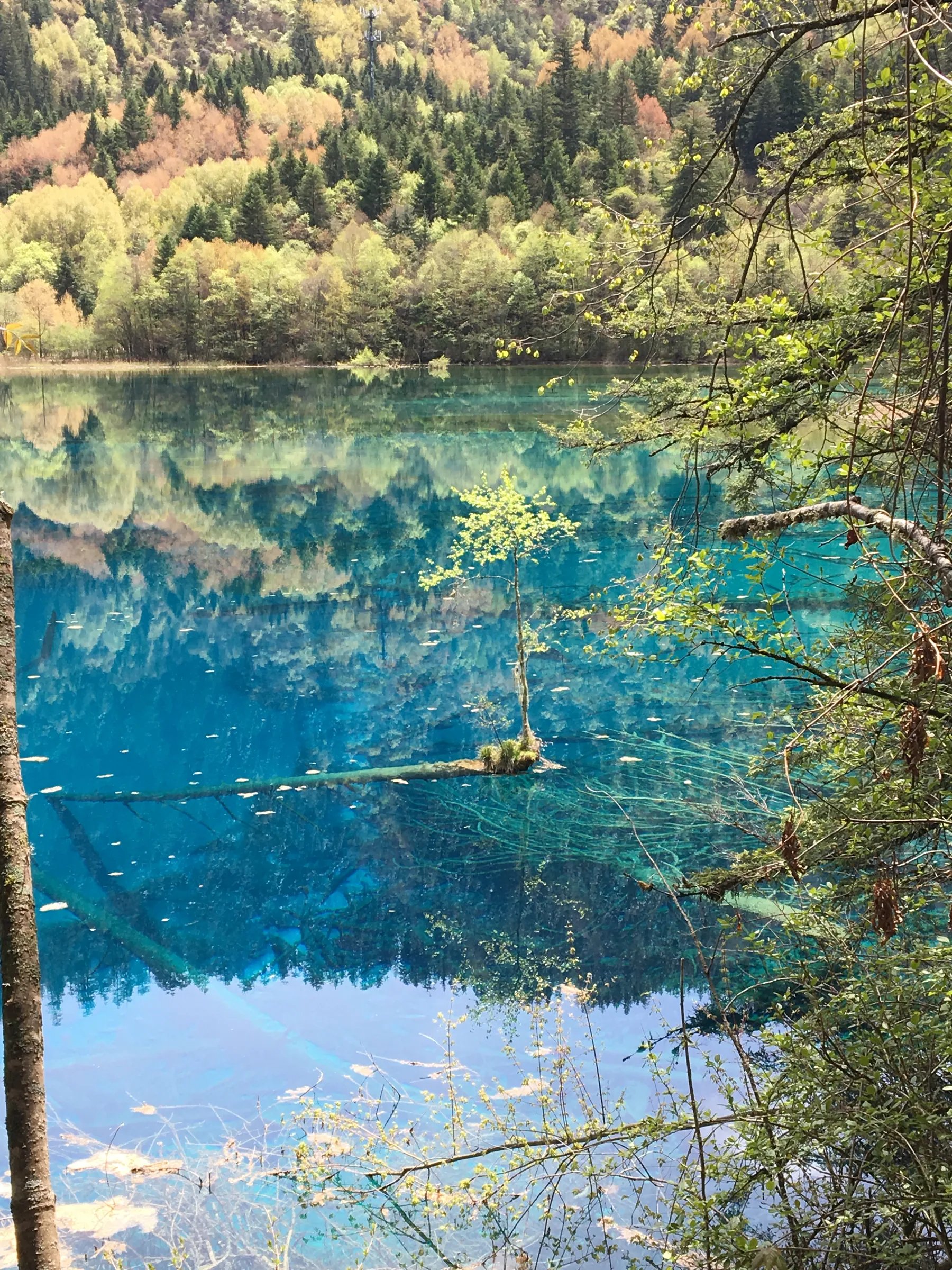 九寨沟清澈湖水中的倒影
