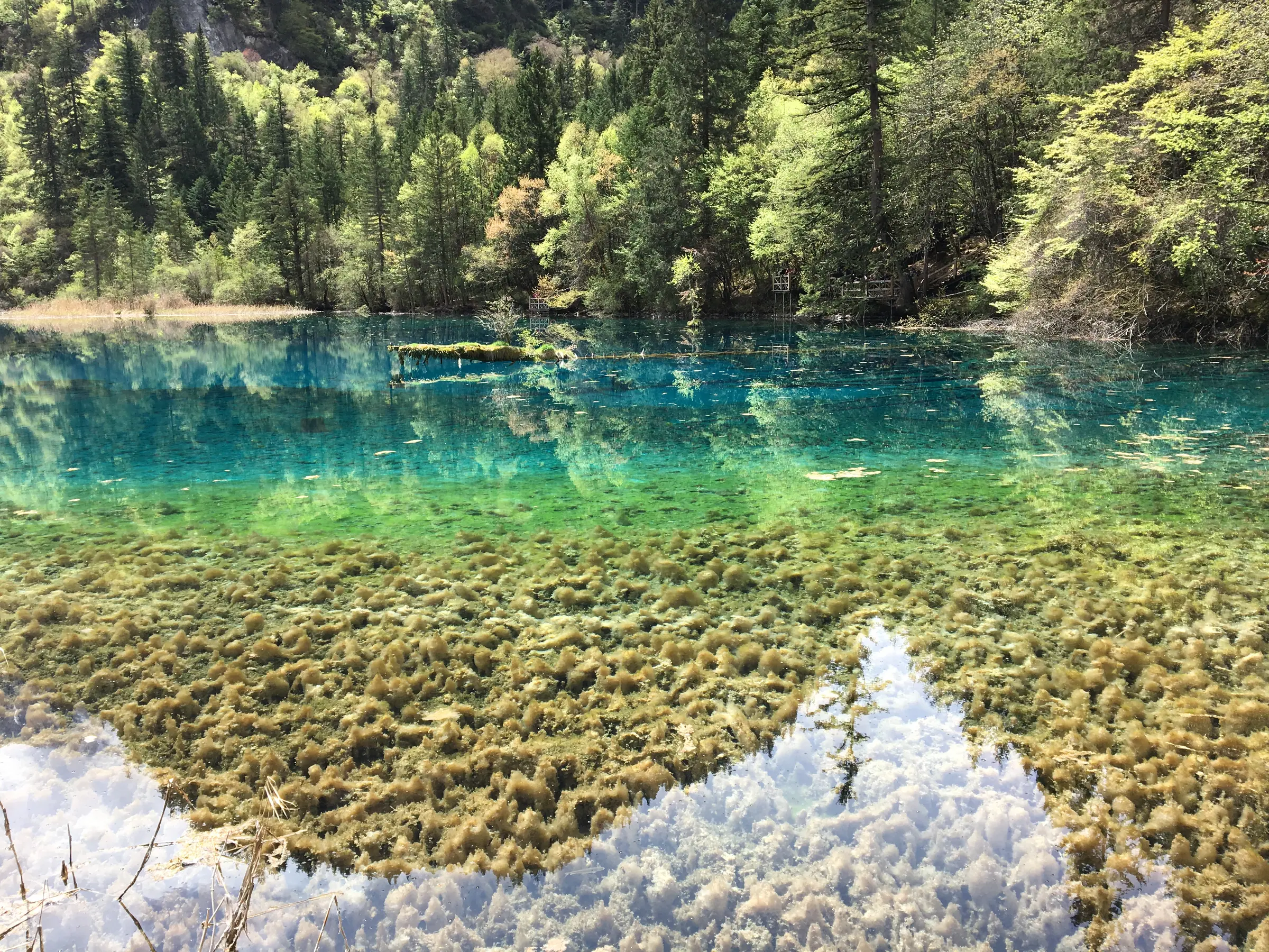 九寨沟湖泊与层叠山林