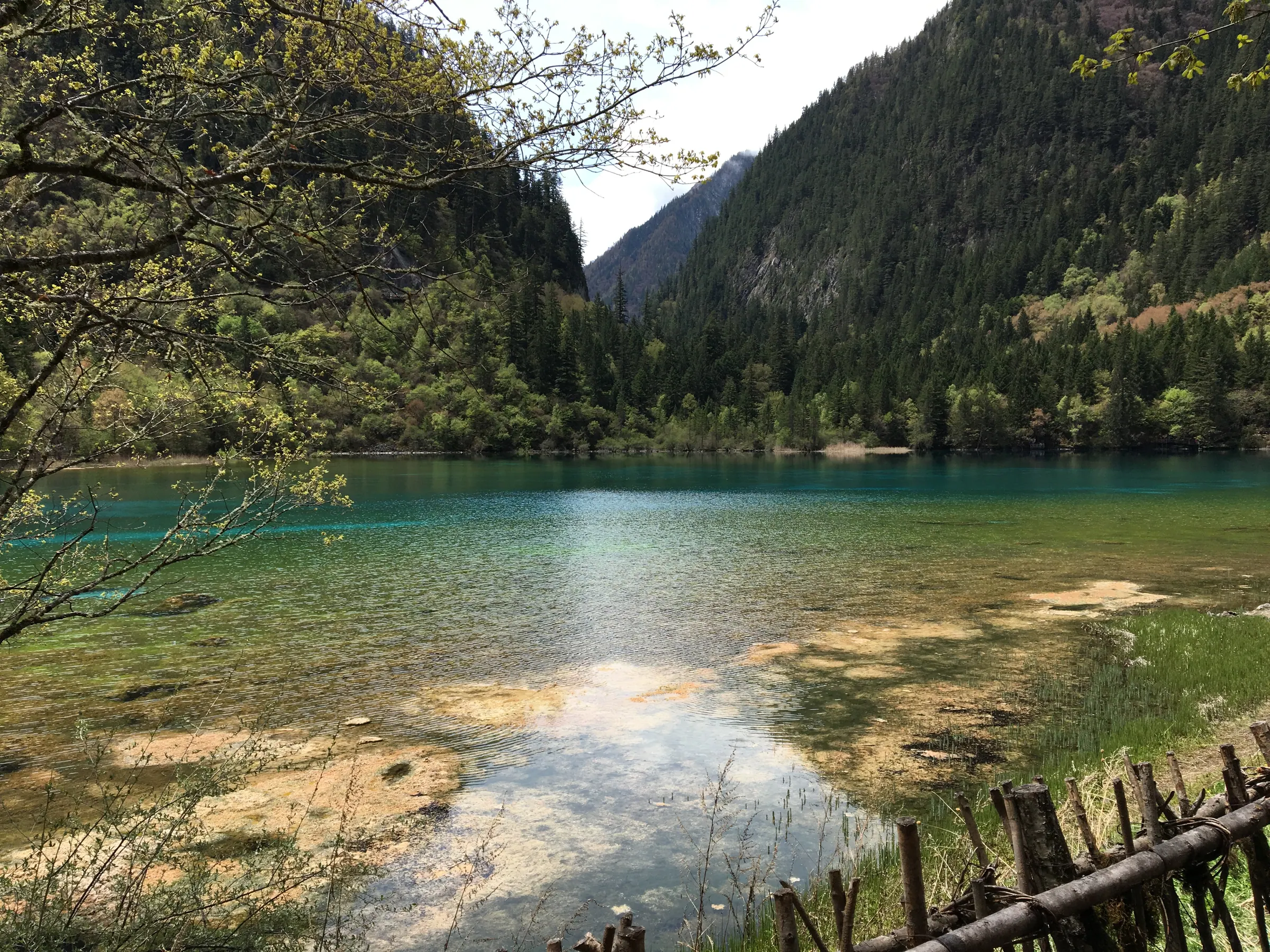 九寨沟阳光下的湖光山色