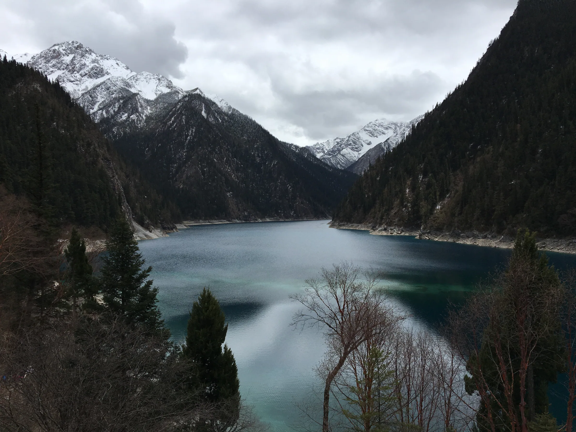 九寨沟山林间流淌的清泉