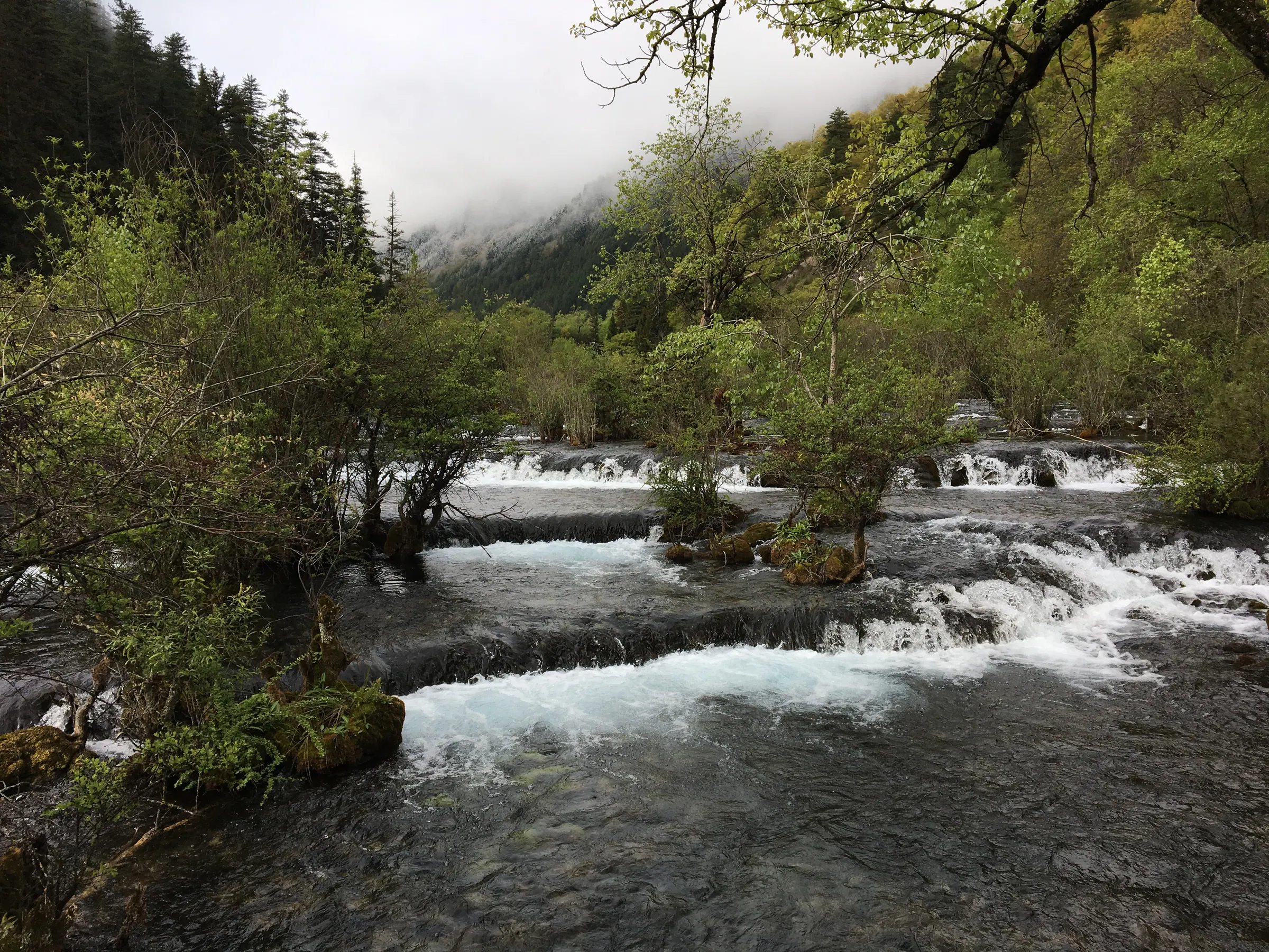 九寨沟林间溪流
