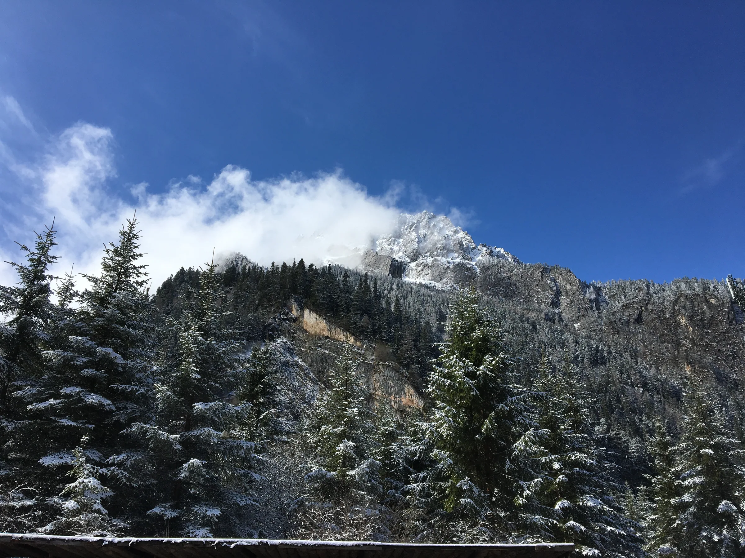 九寨沟春雪覆盖的山林