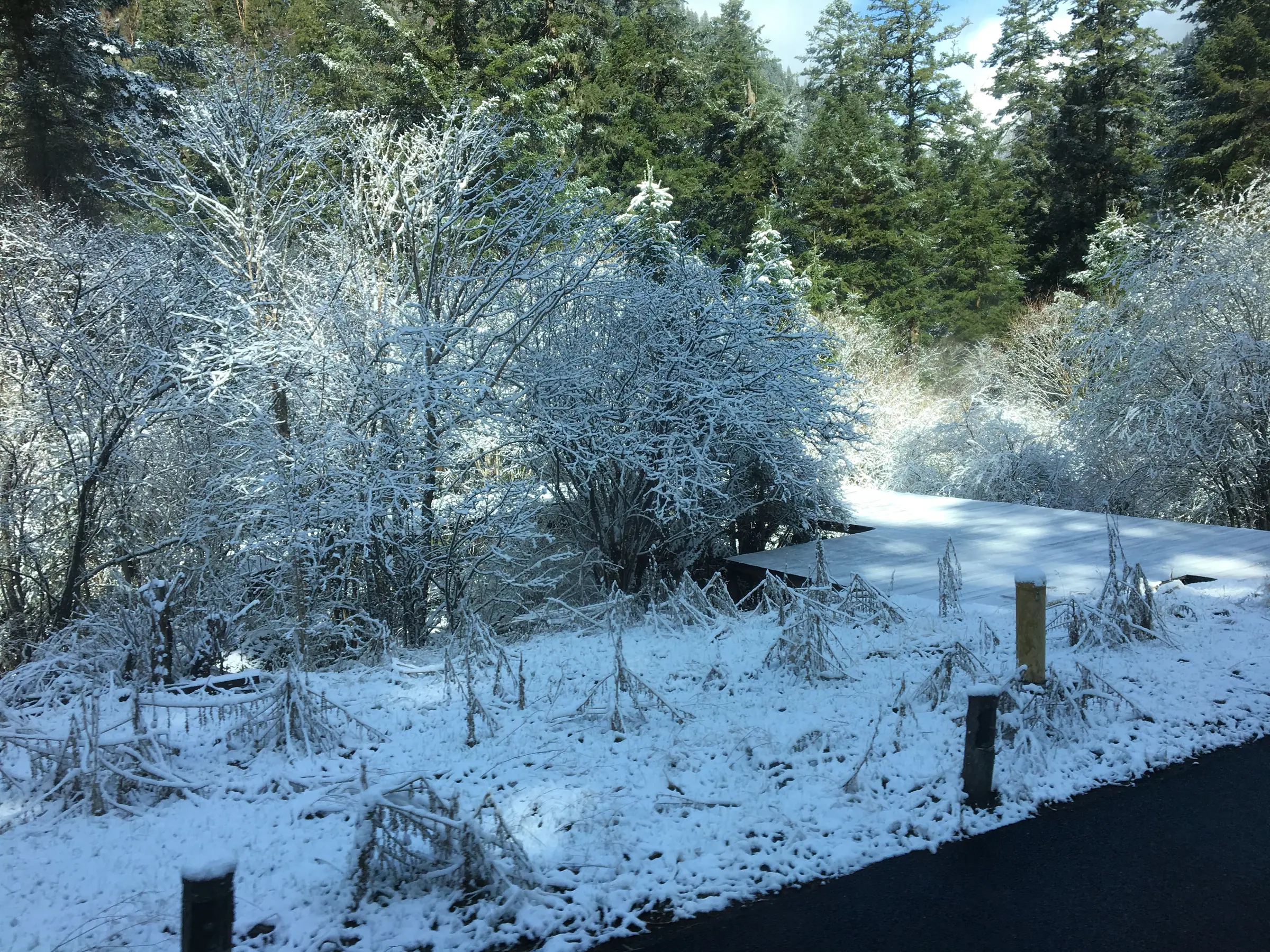 九寨沟雪后的山谷