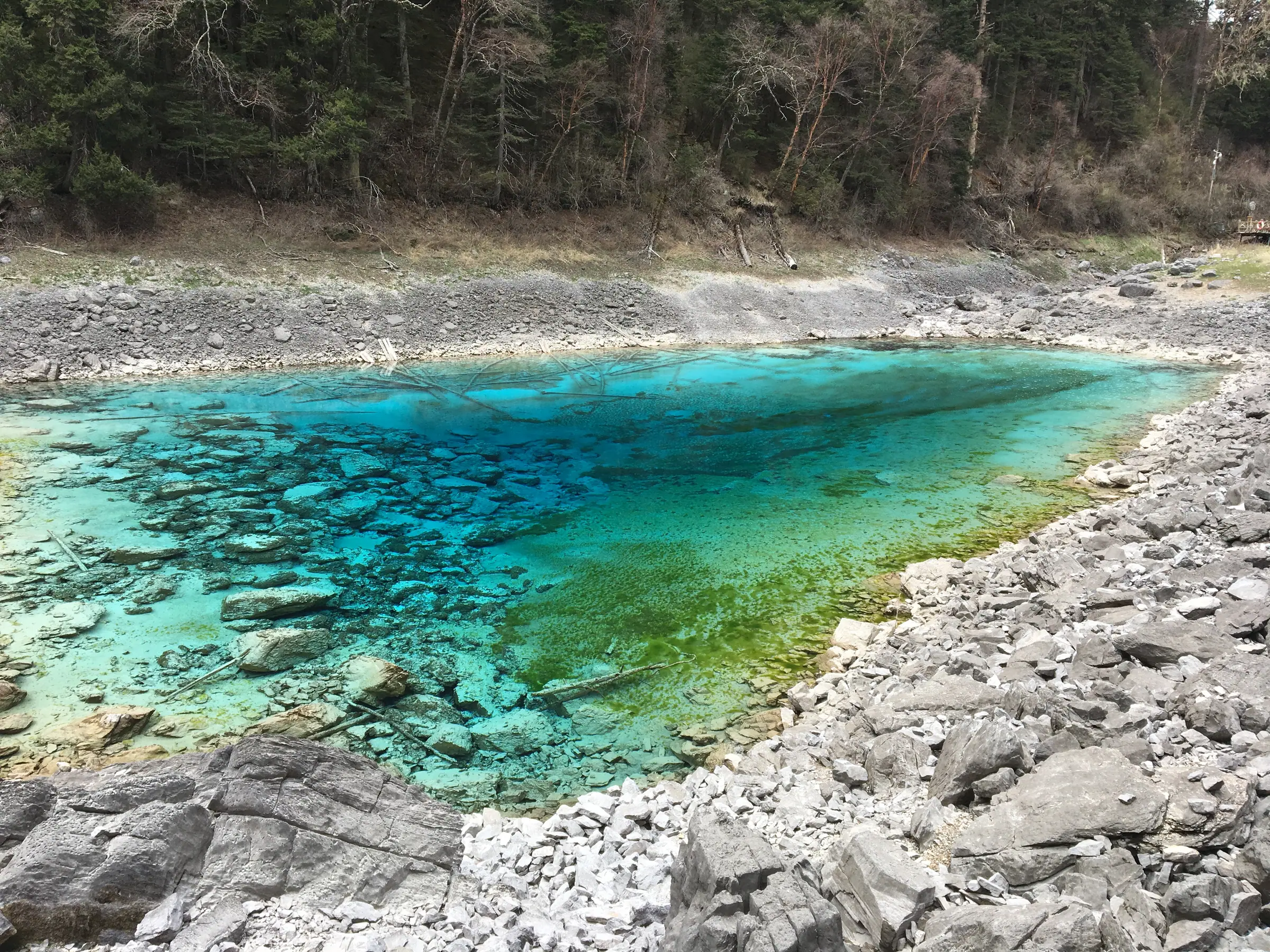 九寨沟岩岸旁层次分明的蓝绿色湖水