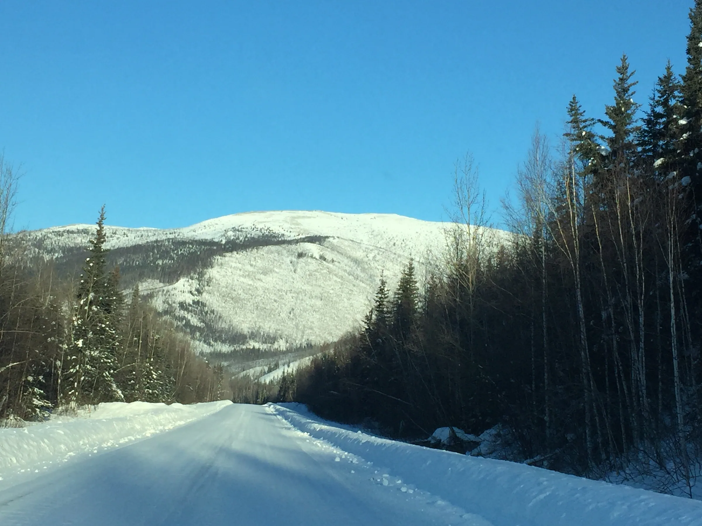 通往温泉的积雪公路，两侧是树林和雪山
