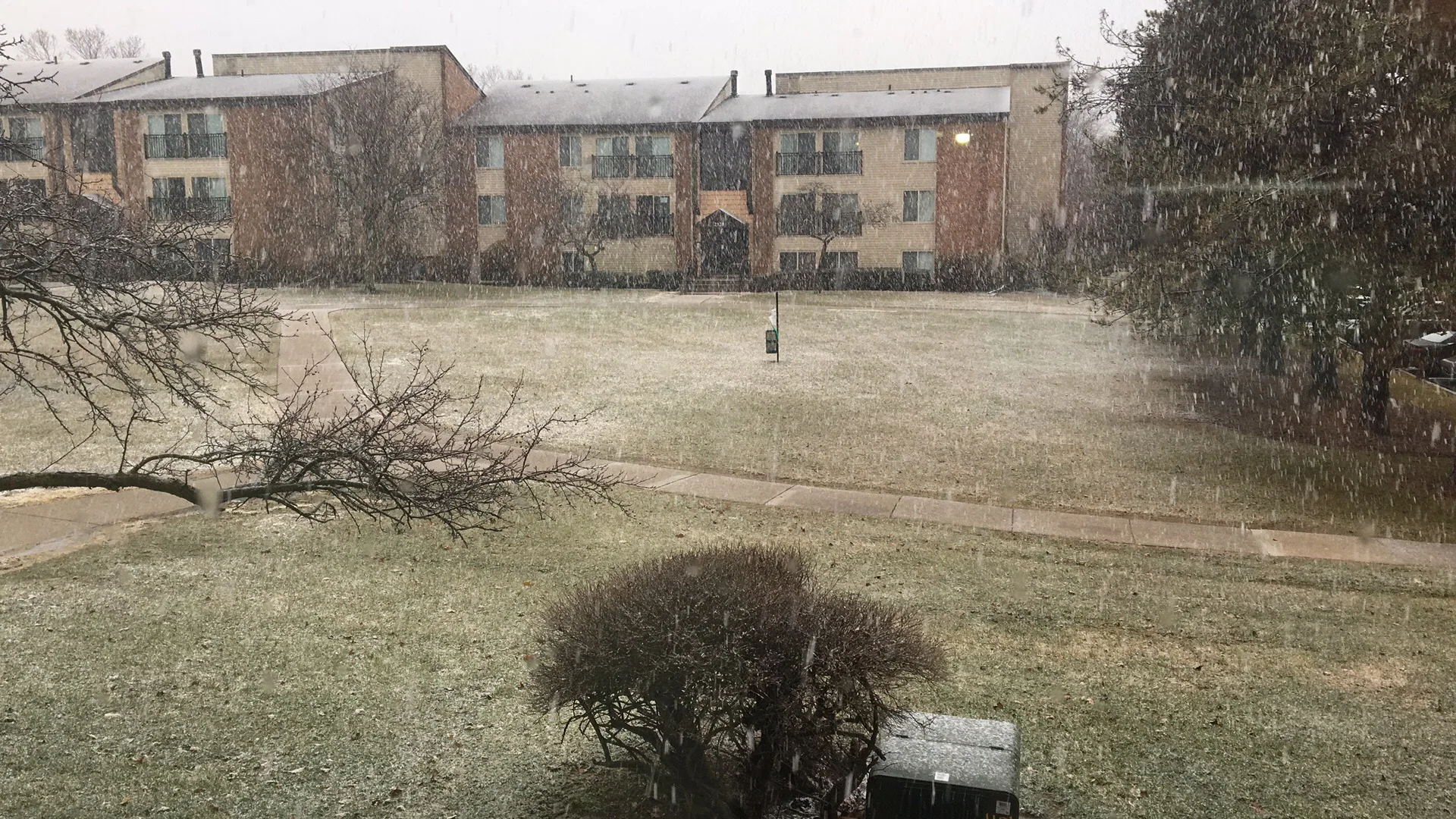 从家中窗户拍摄的安娜堡小区刚开始下雪时的景象
