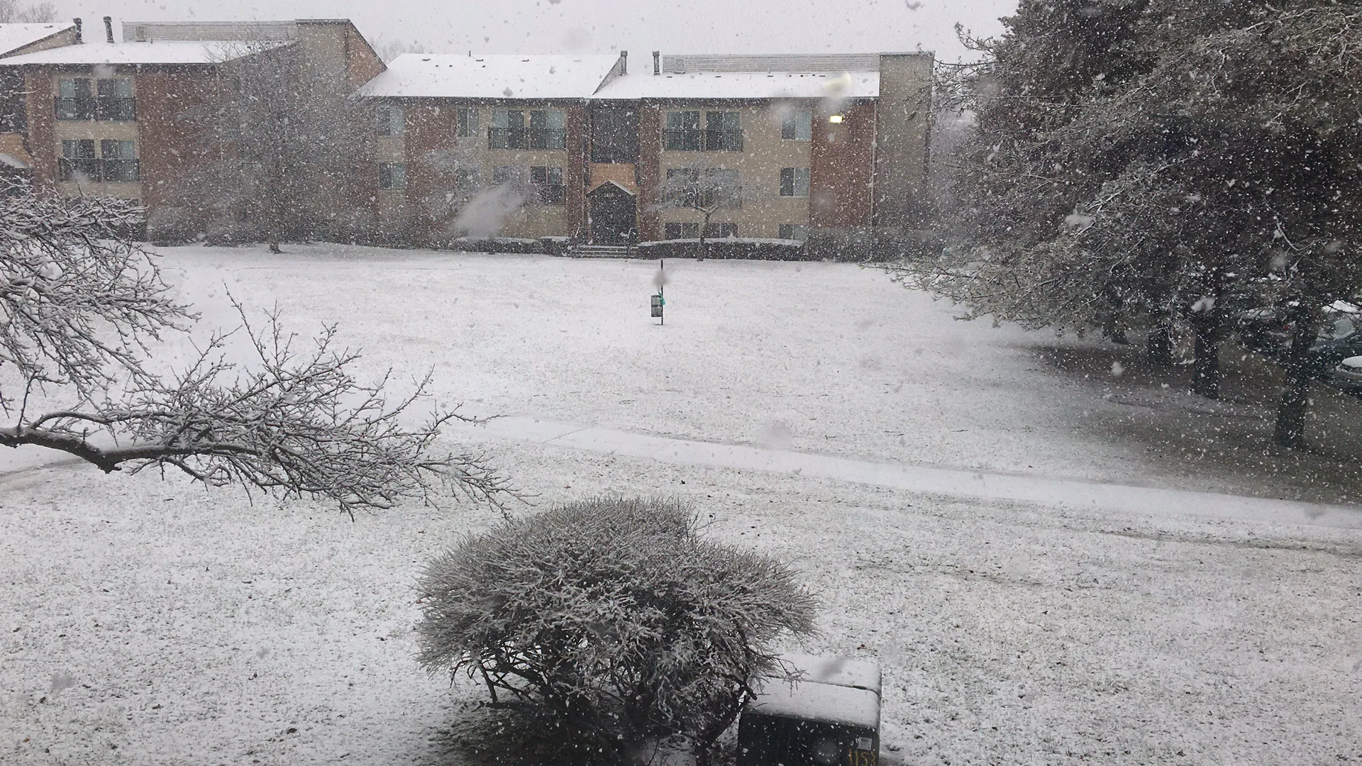 从同一扇窗户拍摄的安娜堡小区逐渐积雪的景象