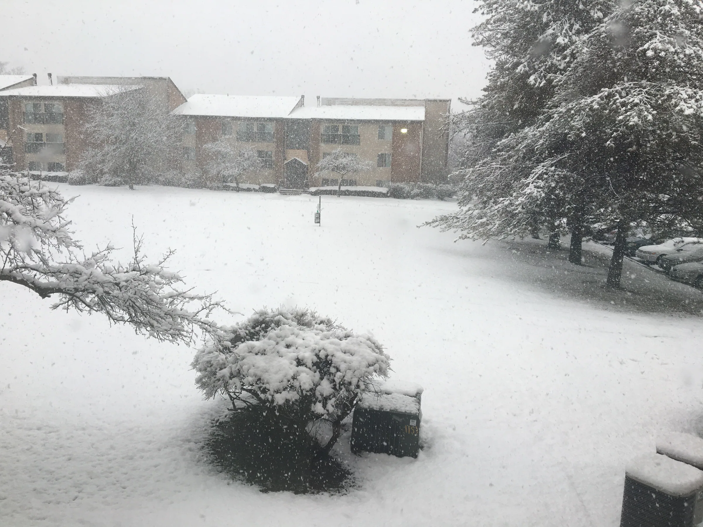 从同一扇窗户拍摄的安娜堡小区被大雪覆盖的景象