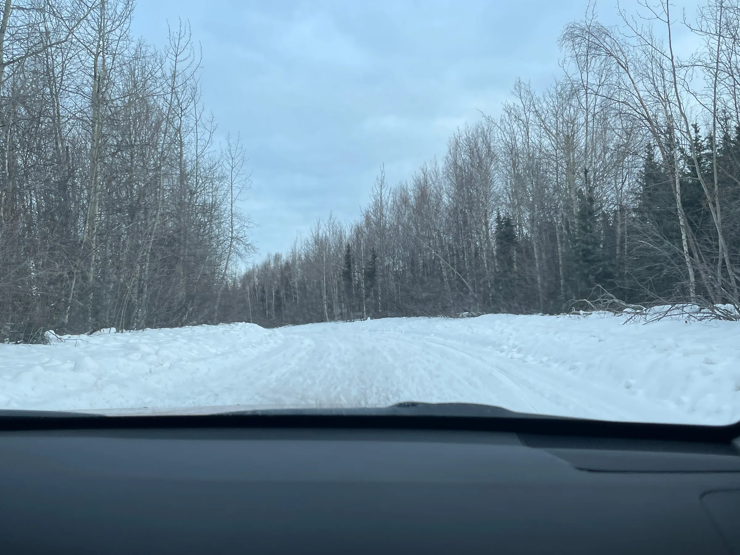 车窗前通往林间的积雪道路