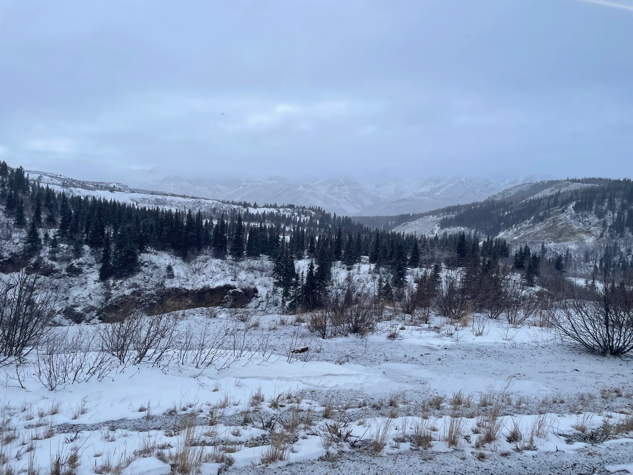 山谷中的林木与积雪