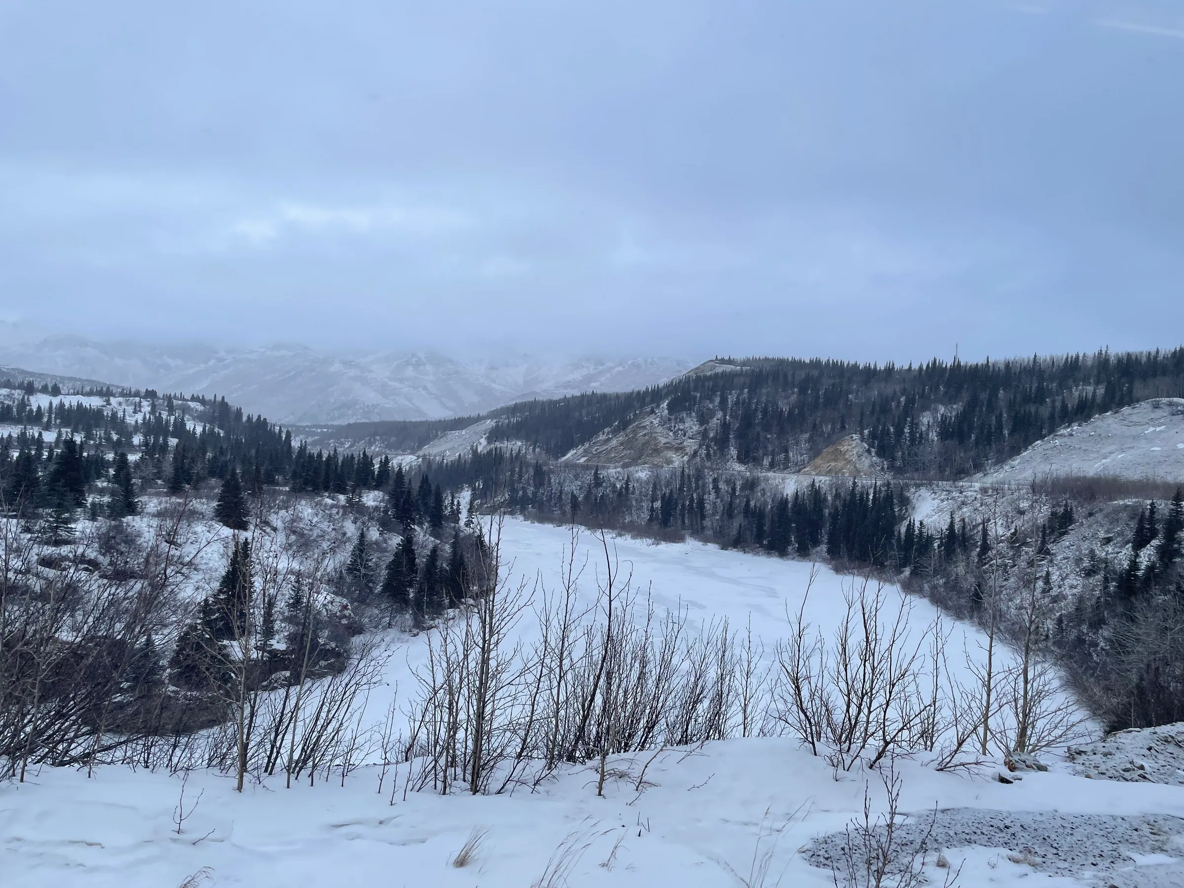 冬季河谷中的冰雪与树林