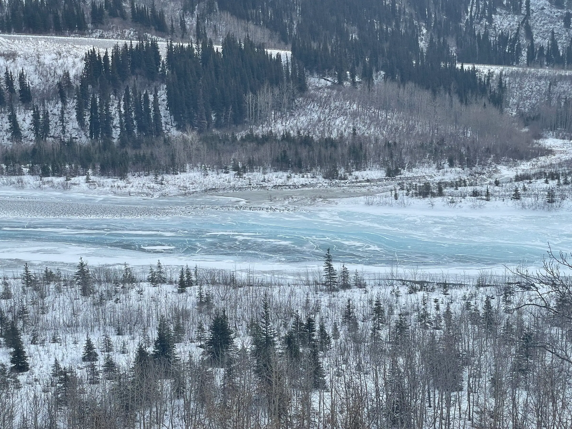 雪山树林前的蓝白色冰面