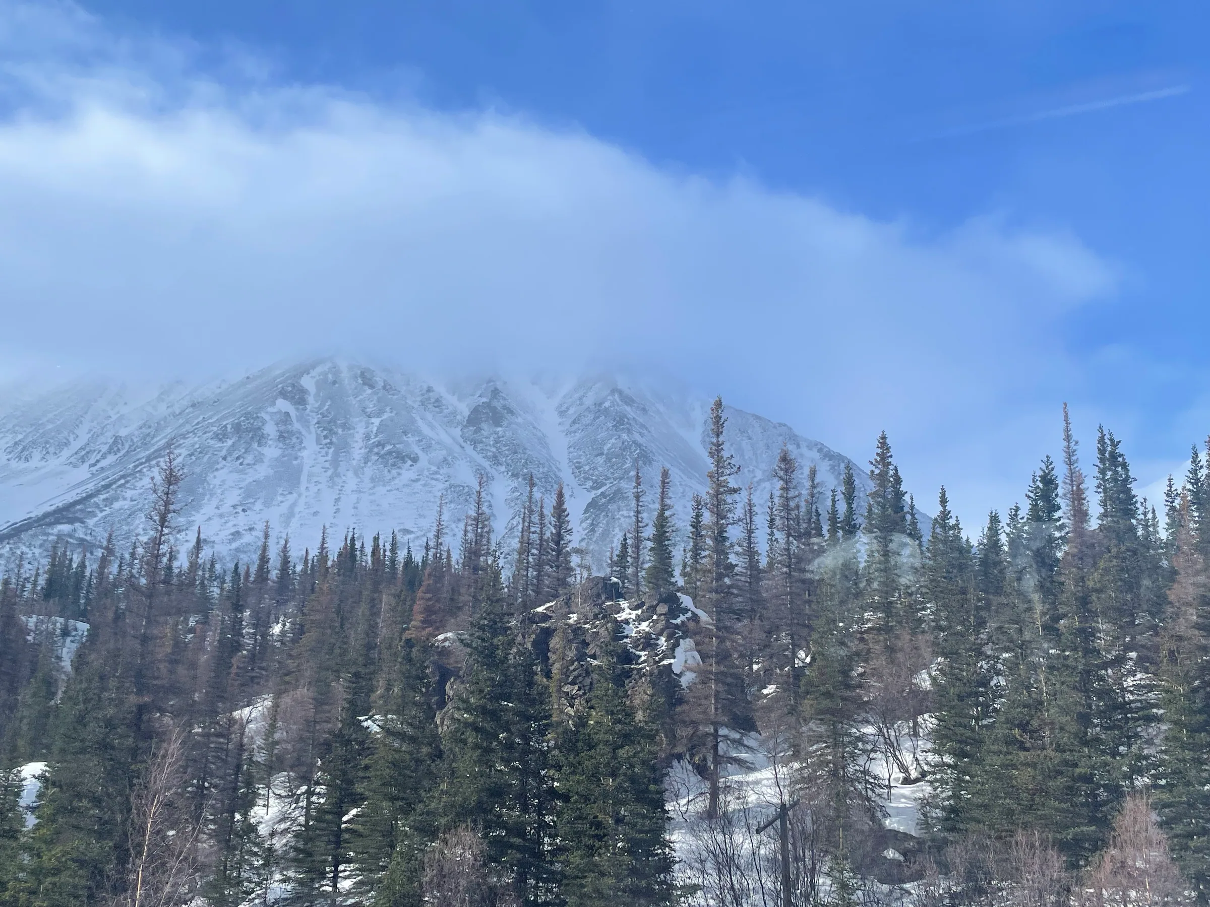 云层下的雪峰与树林