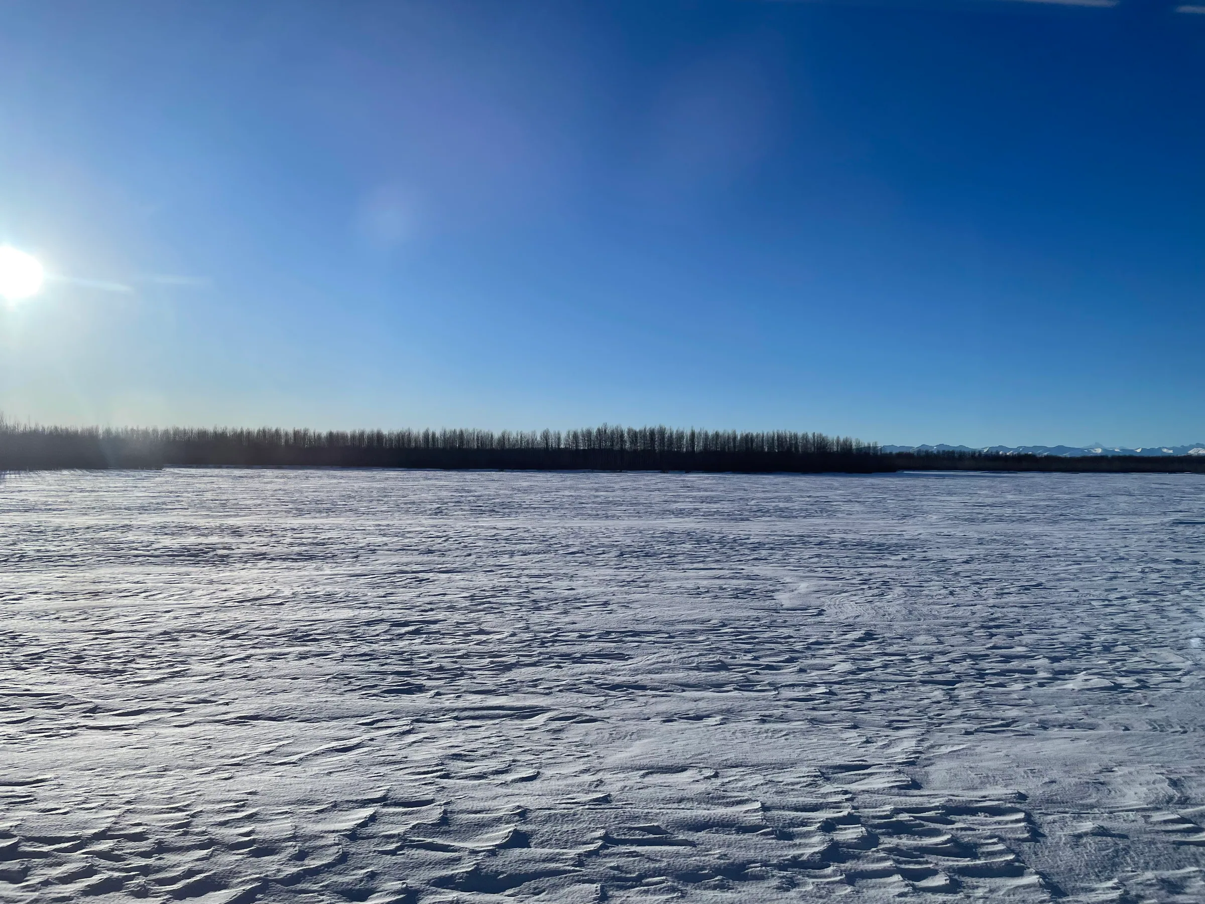阳光照耀下的开阔雪原