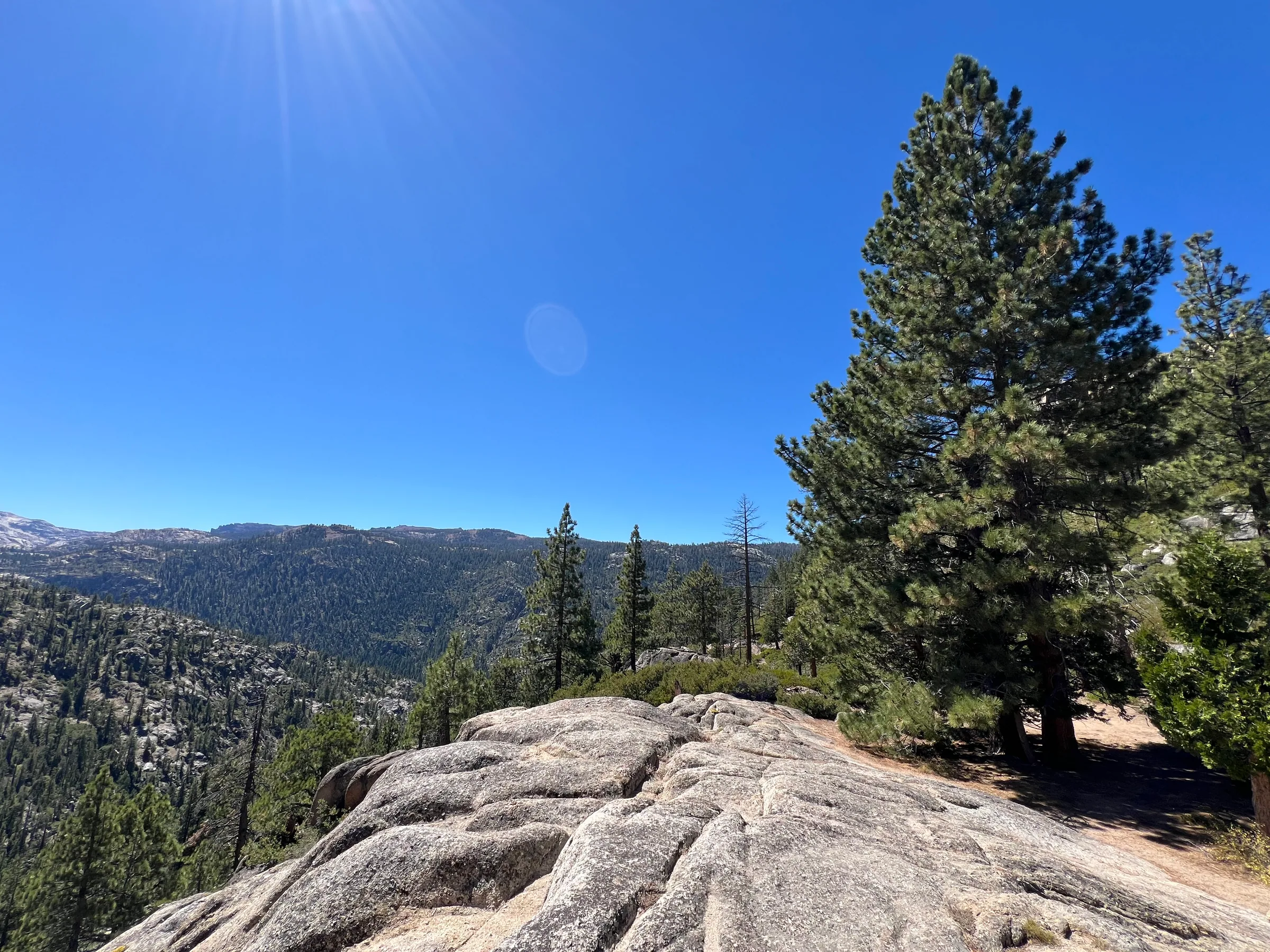 Sonora Pass 冬季封路设施