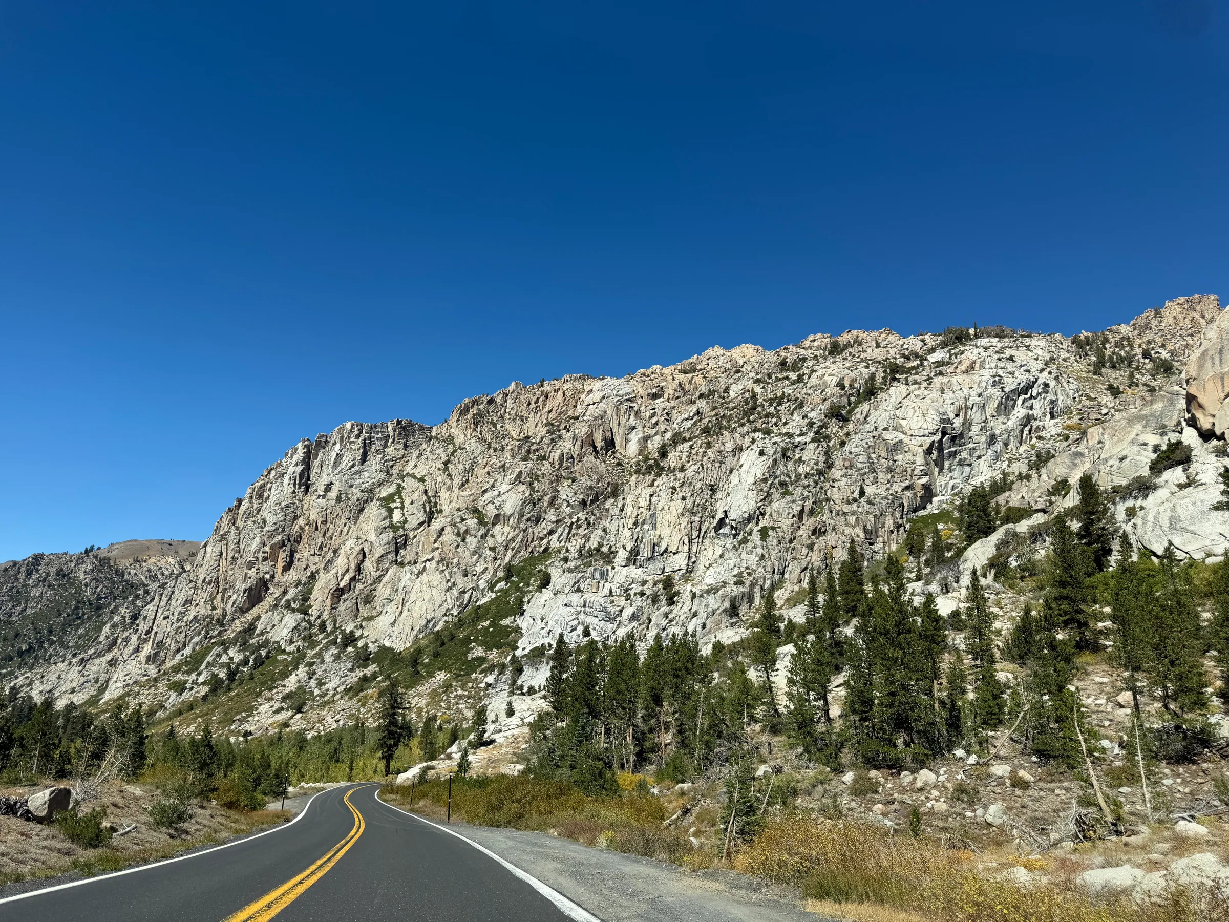 Sonora Pass 国家森林中的道路